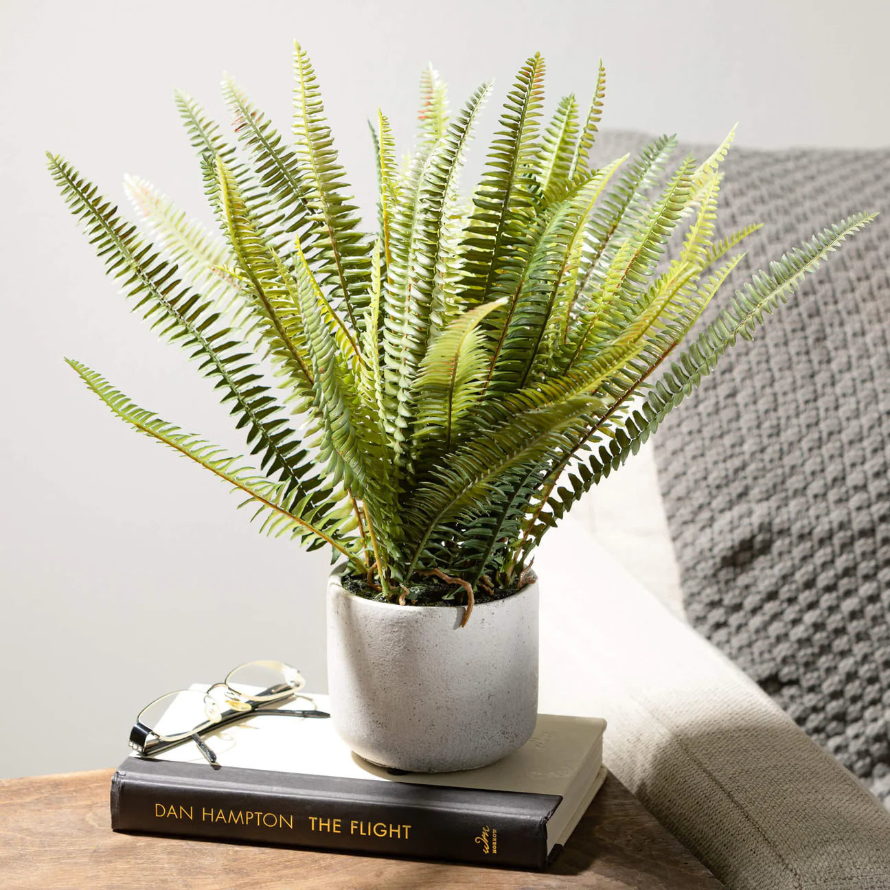 Potted Fern