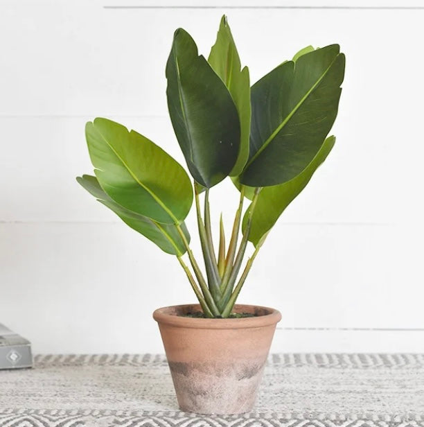 Faux Paradise Leaf Plant