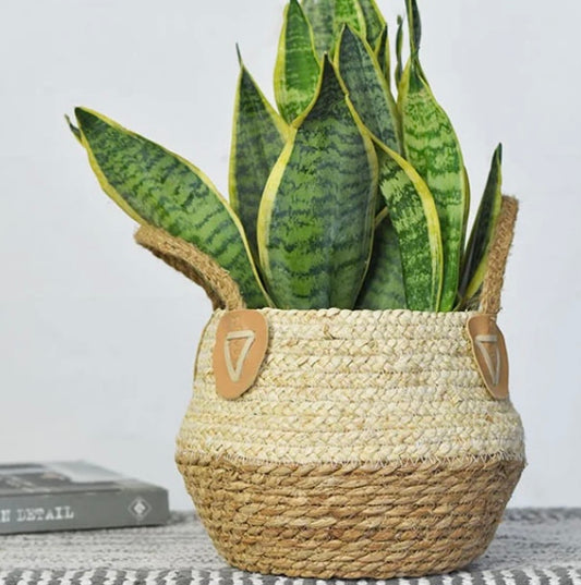 Handled Weave Basket