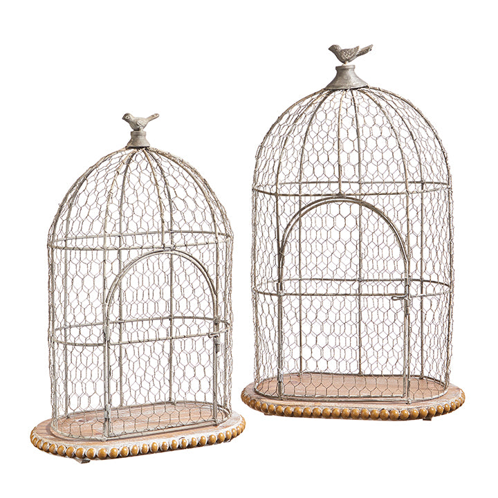 Wired Bird Cage